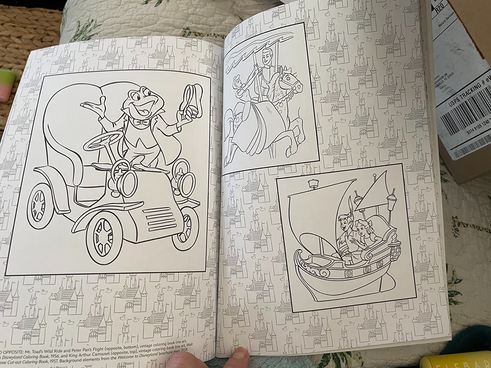 Libro De Colorear Disney 100 Años De Maravillas
