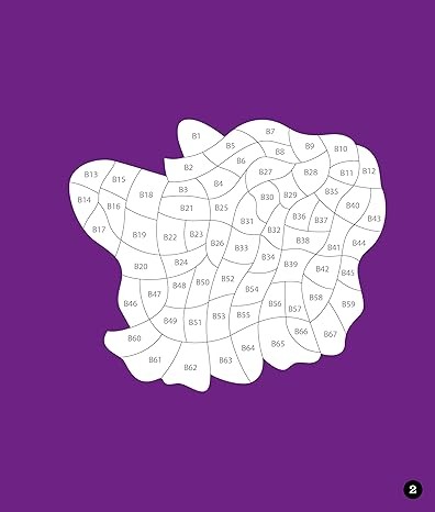 Libro Stickers Por Número Animales Neón(28 Imágenes)