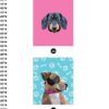 Libro De Stickers Por Número - Cachorros y Perros 2 en 1(42 Imágenes)