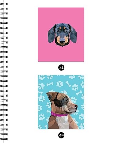 Libro De Stickers Por Número - Cachorros y Perros 2 en 1(42 Imágenes)