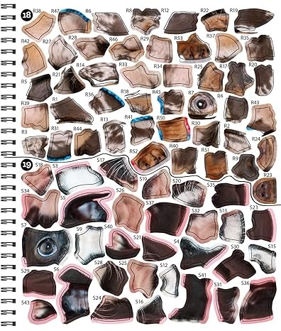 Libro Stickers Por Número-Cachorros 28 Imágenes