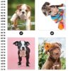 Libro Stickers Por Número-Cachorros 28 Imágenes