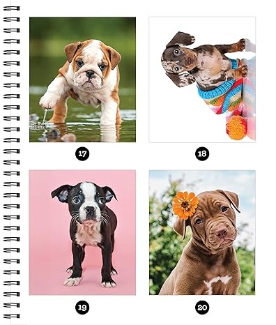 Libro Stickers Por Número-Cachorros 28 Imágenes