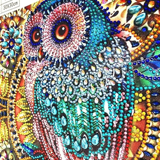 Pintura De Diamante Búho 30x30cm