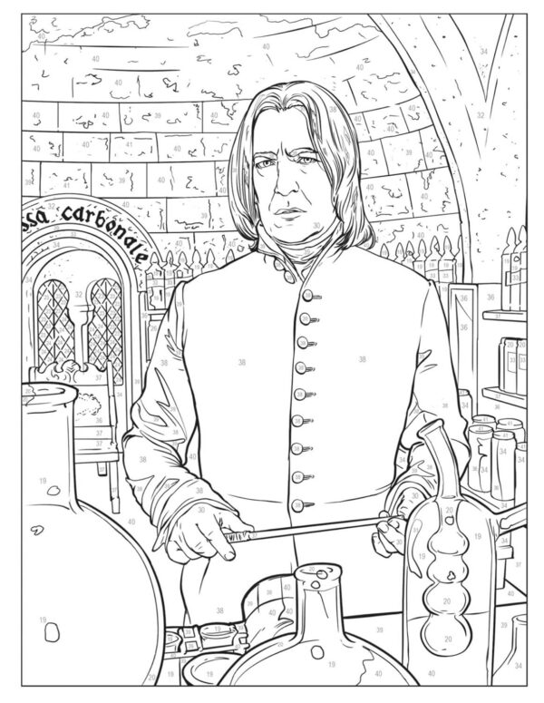 71IAW7dagBL._SL1500 Libro De Colorear Por Número Harry Potter