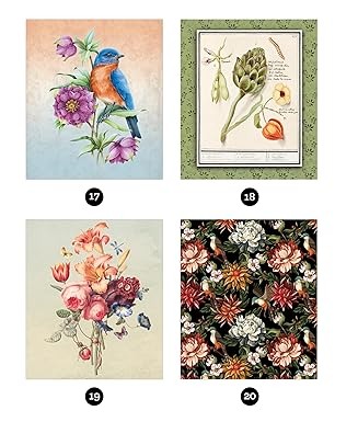 Libro Stickers Por Número Jardín Vintage 28 Imágenes