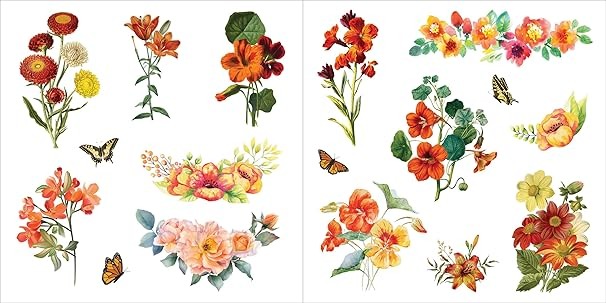 81QN7pcw0-L._SX606 Bunches of Botanicals Libro De Stickers Más De 500