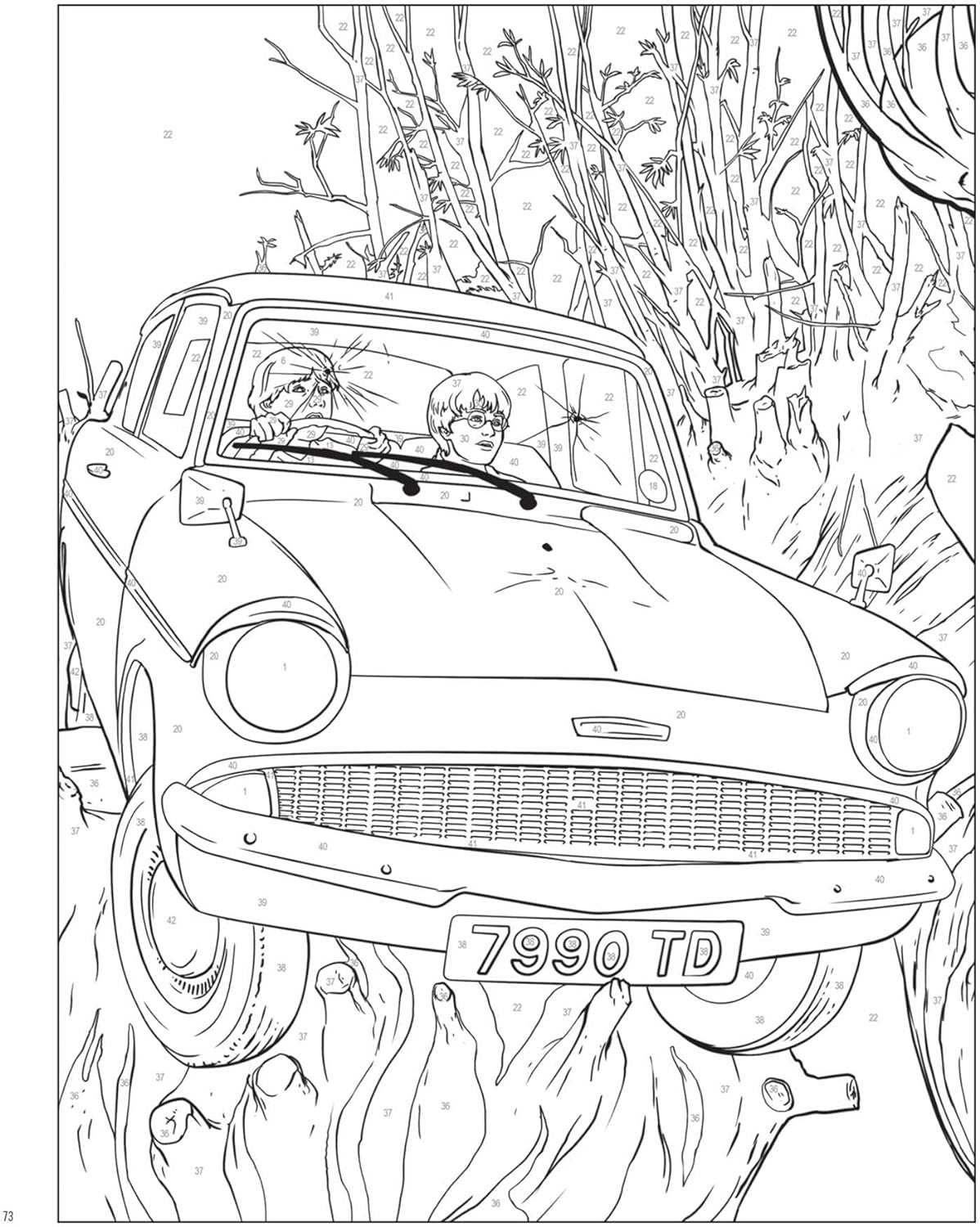 Libro De Colorear Por Número Harry Potter