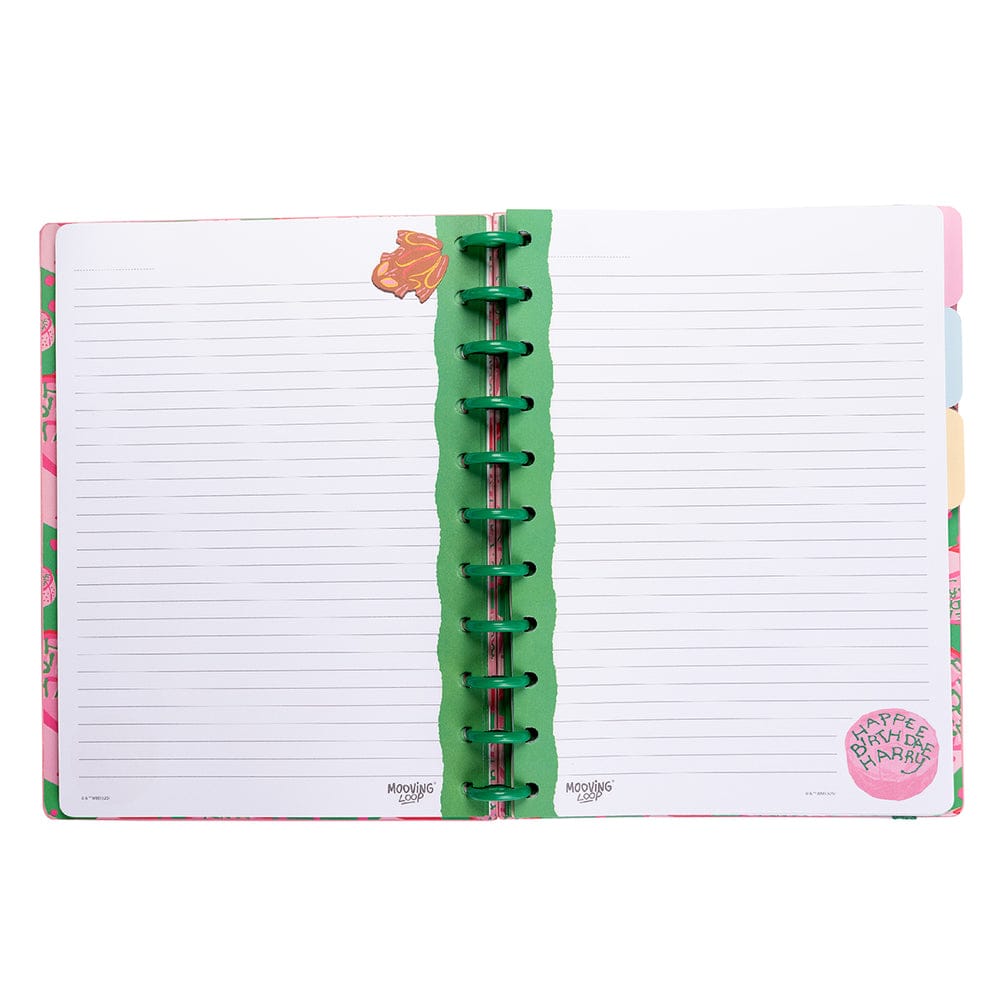 Mooving Harry Potter Cuaderno De Discos Tamaño Carta