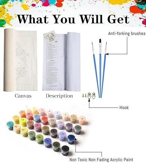 Lienzo Pintura Por Número 40x30cm