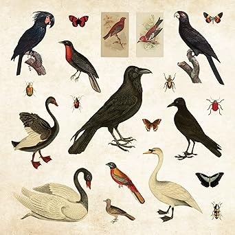 Mystical Ephemera! Libro De Stickers 900 Stickers
