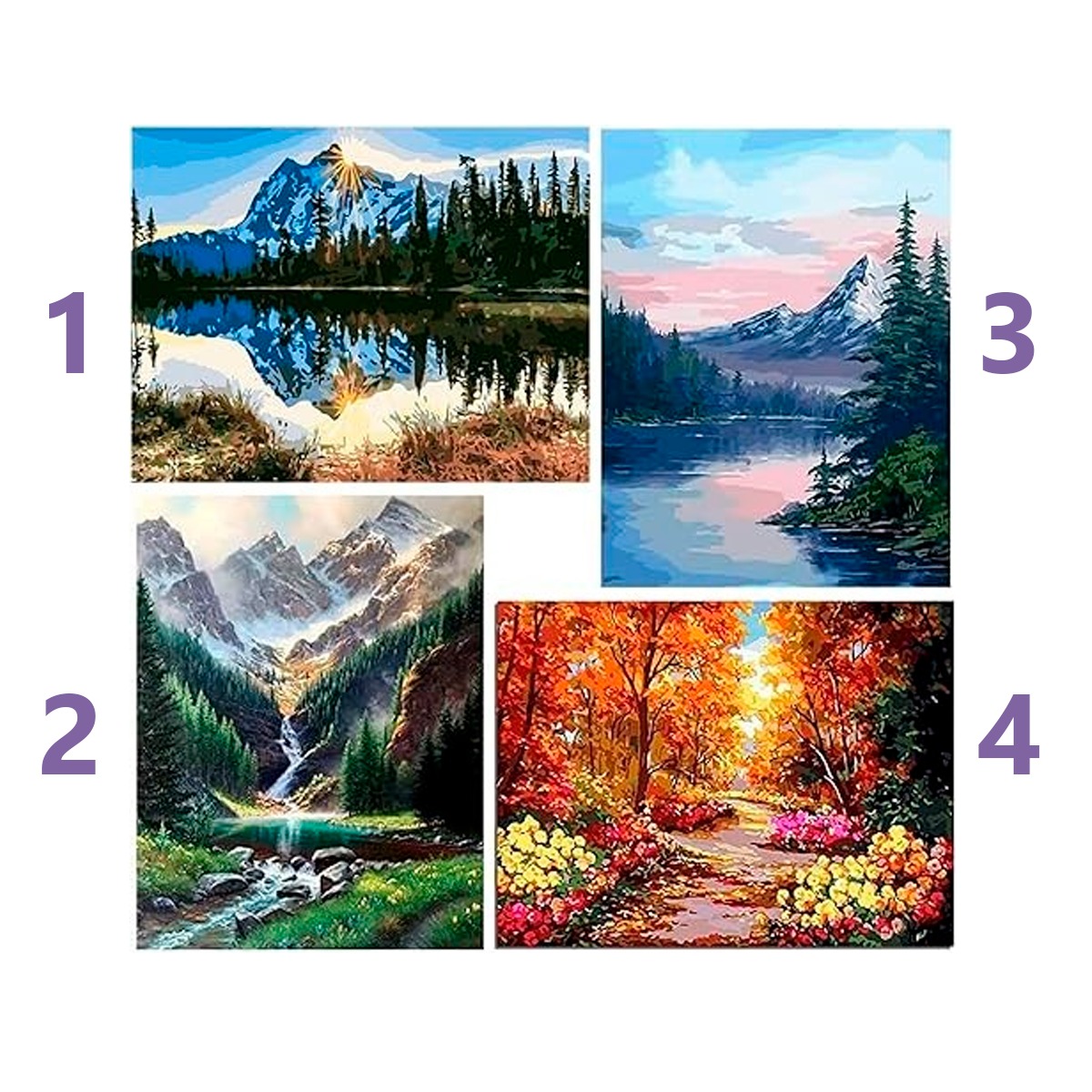 Lienzo De Pintura Por Número 30x40cm