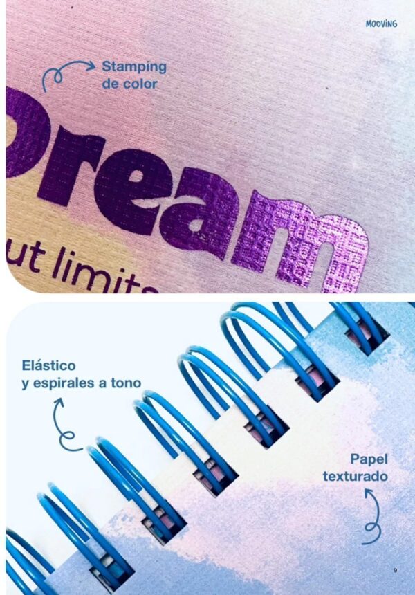 whatsapp-image-2025-07-02-at-1-3 (3) Agenda Mooving 2026 Pastel 10x15cm Día Por Página (Pequeña)