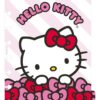 D_NQ_NP_2X_843004-MLA85239832282 Mooving Refill Hello Kitty Para Cuaderno De Discos A5(Para Cuaderno Pequeño) 20H