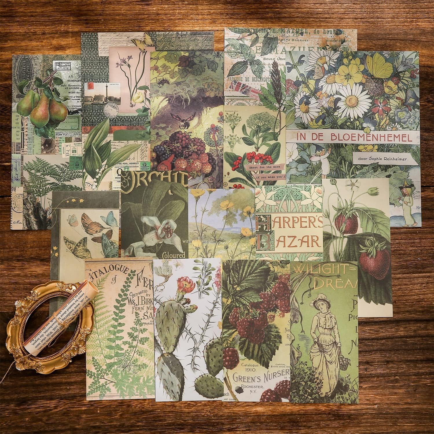 Kit Scrapbook Diseño Botánico Vintage