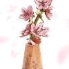 71PhF1-DpHL._AC_SX425_ Armable Sakura