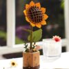 71rcwjz59cL._AC_SL1500_ Armable Girasol