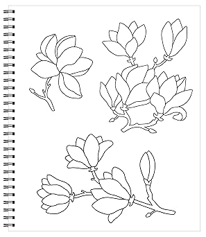 81uD8wcabCL._SY342_ Libro De Colorear Calm