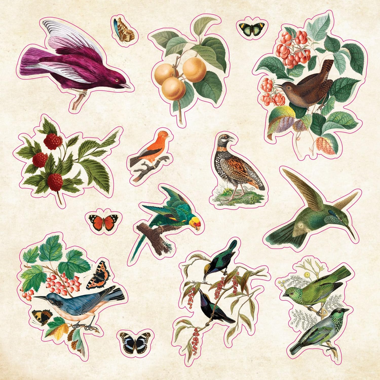 91gEEqbaG+L._SL1500_ Curiosities Libro De Stickers Más De 750