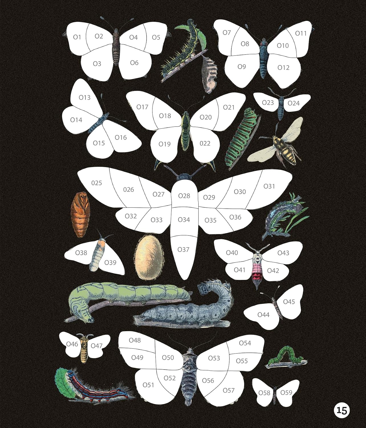 81MXiFMa4zL._SL1500_ Libro Stickers Por Número Mariposas
