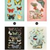 81v5ASjMk0L._SL1500_ Libro Stickers Por Número Mariposas