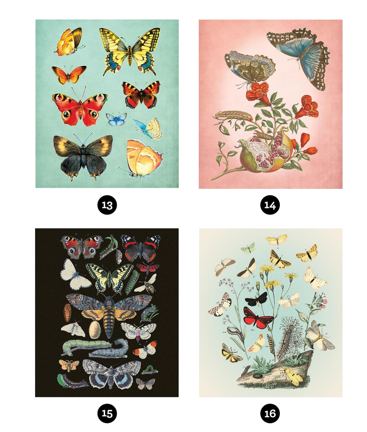 81v5ASjMk0L._SL1500_ Libro Stickers Por Número Mariposas
